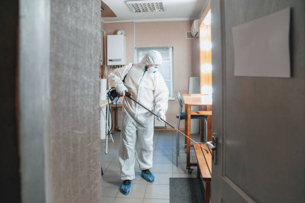 Best Post-Construction Mold Inspection  in Waxhaw, NC