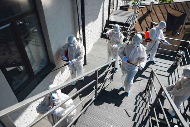 Best Mold Damage Restoration  in Waxhaw, NC