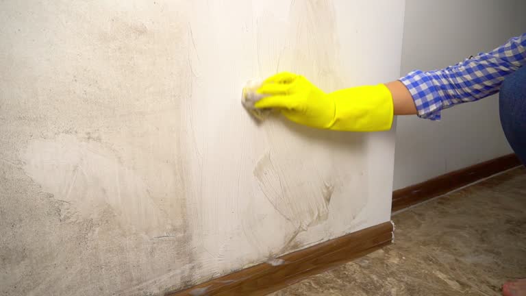 Best Airborne Mold Testing  in Waxhaw, NC