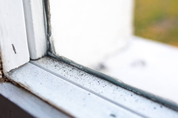 Best Commercial Mold Inspection  in Waxhaw, NC