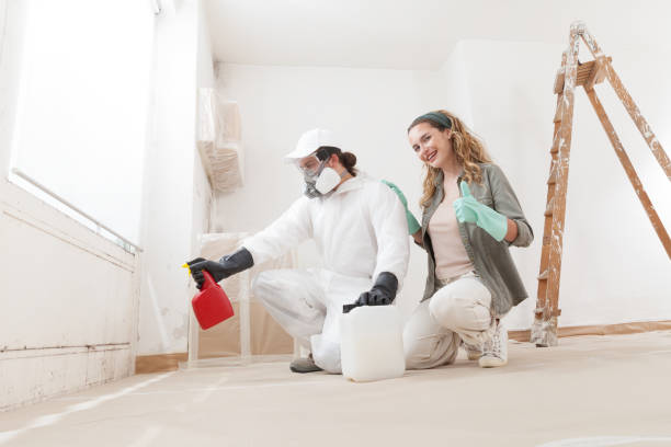 Trusted Waxhaw, NC Mold Removal Experts