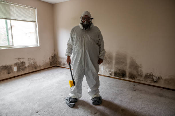 Best Post-Construction Mold Inspection  in Waxhaw, NC
