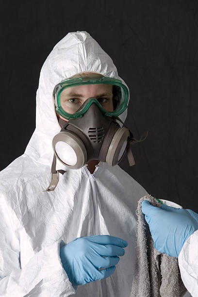 Best Attic Mold Removal  in Waxhaw, NC